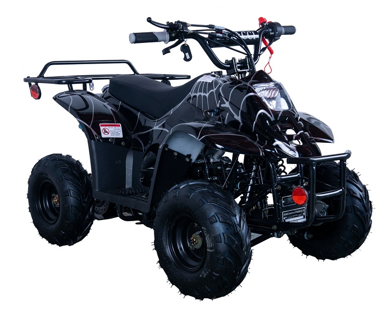 VITACCI HAWK-6 110CC ATV