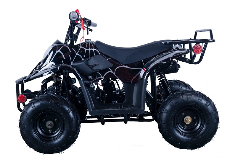 VITACCI HAWK-6 110CC ATV