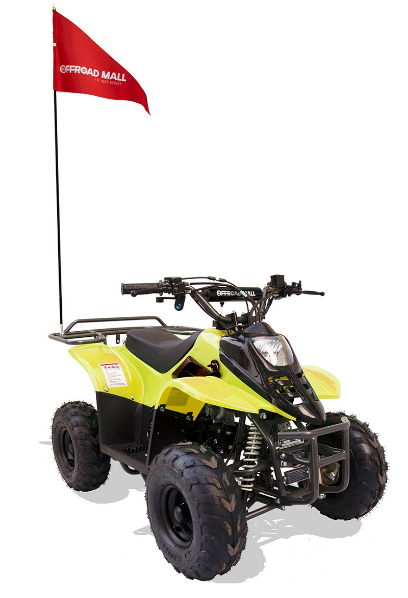 hawk mini quad bike