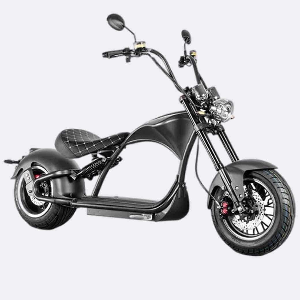 M1P Electric Motorcycle
