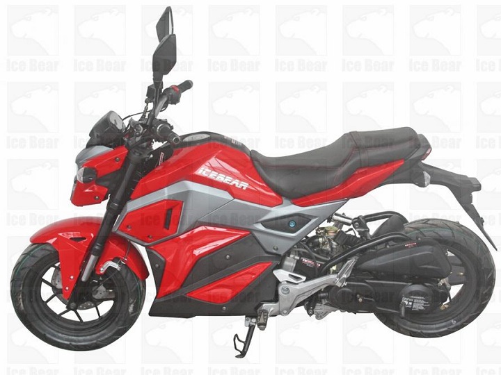 Buy ICE BEAR MINI MAX 50 (PMZ50-M1) 50CC SCOOTRE, ELECTRIC AND KICK