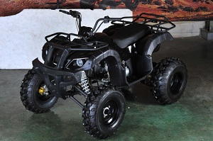 New Kandi MDL-150AUG-1 149.6Cc Atv, Single Cylinder, Air Cooled, Automatic With Reverse