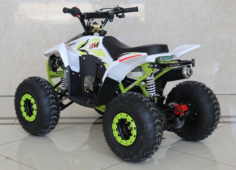 TrailMaster N110 ATV