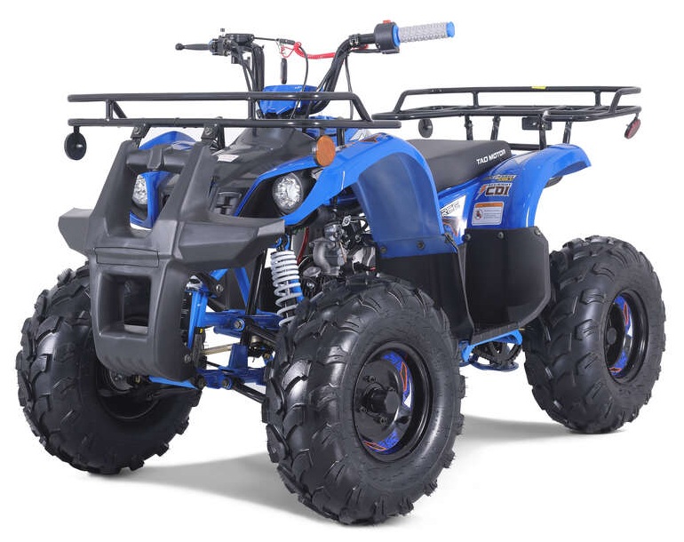 New Taotao 2022 T-Force Atv