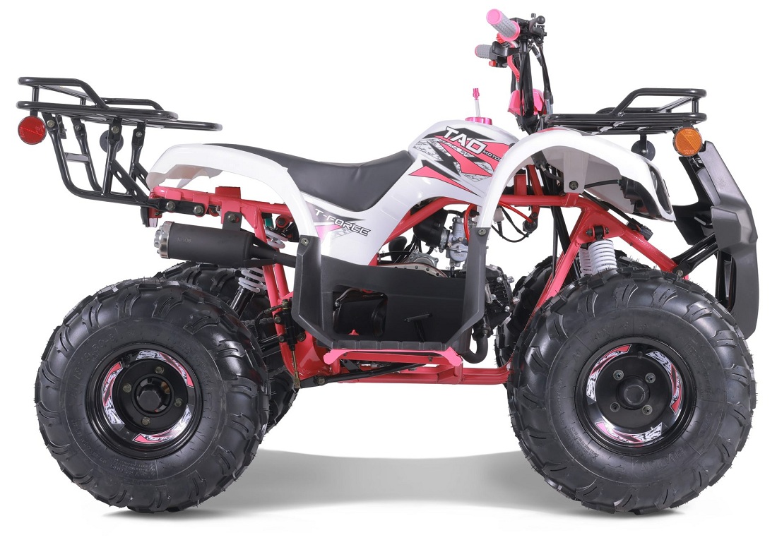 New Taotao 2022 T-Force Atv