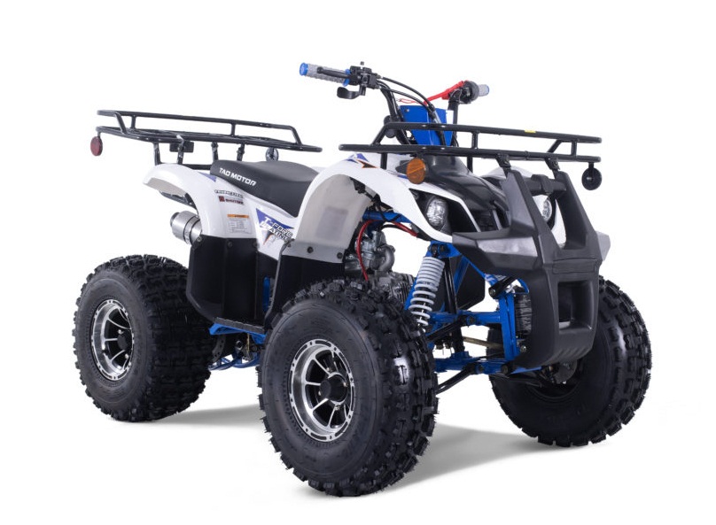 TaoTao 120CC NEW TFORCE PLATINUM