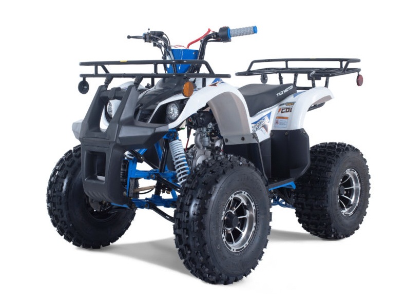 TaoTao 120CC NEW TFORCE PLATINUM