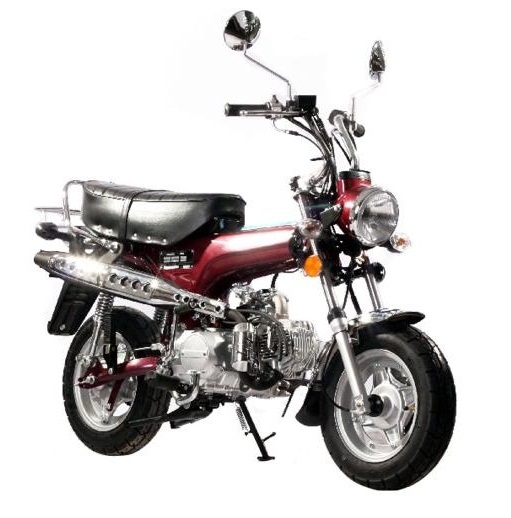Buy New Ice Bear 2019 Champion Moped Scooter 125cc For Sale
