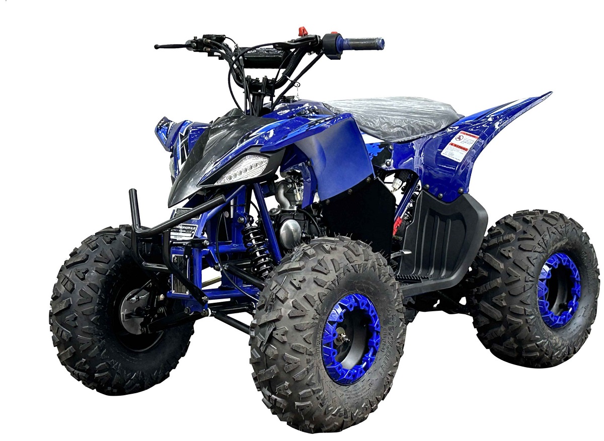 PIONEER 125 ATV