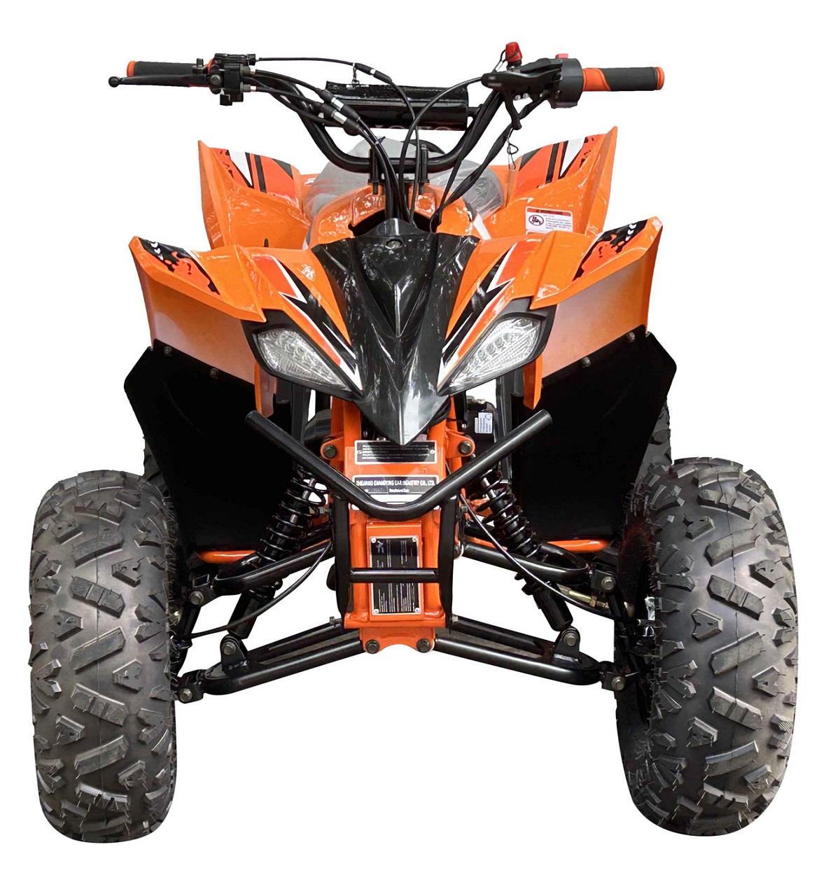 PIONEER 125 ATV