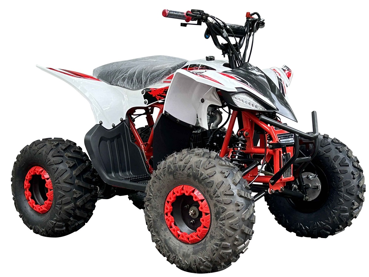 PIONEER 125 ATV