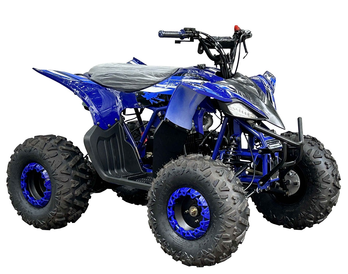 PIONEER 125 ATV