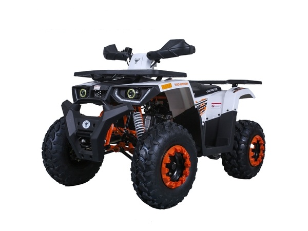 TAOTAO RAPTOR 125CC ATV