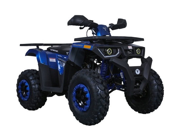 TAOTAO RAPTOR 125CC ATV