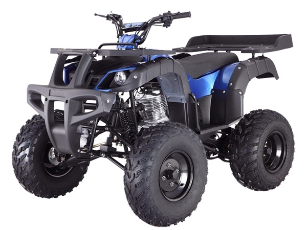 TAOTAO RHINO 250CC ATV