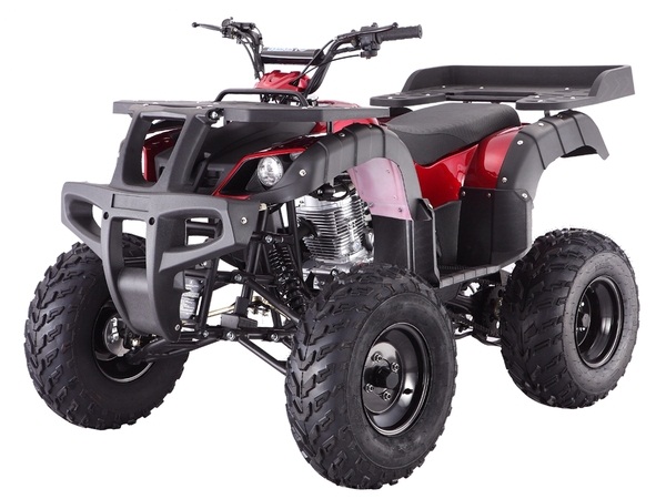 TAOTAO RHINO 250CC ATV