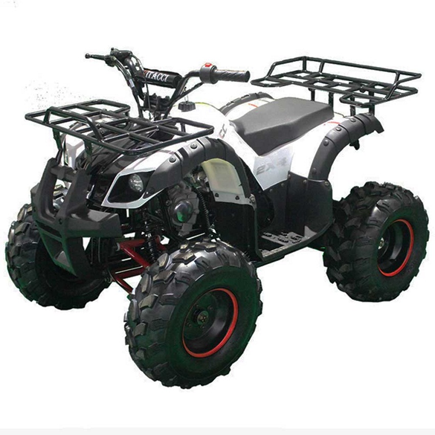 Vitacci RIDER-8