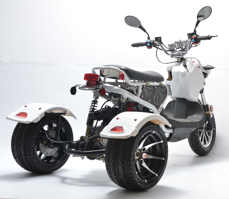 VITACCI RYKER 50 TRIKES