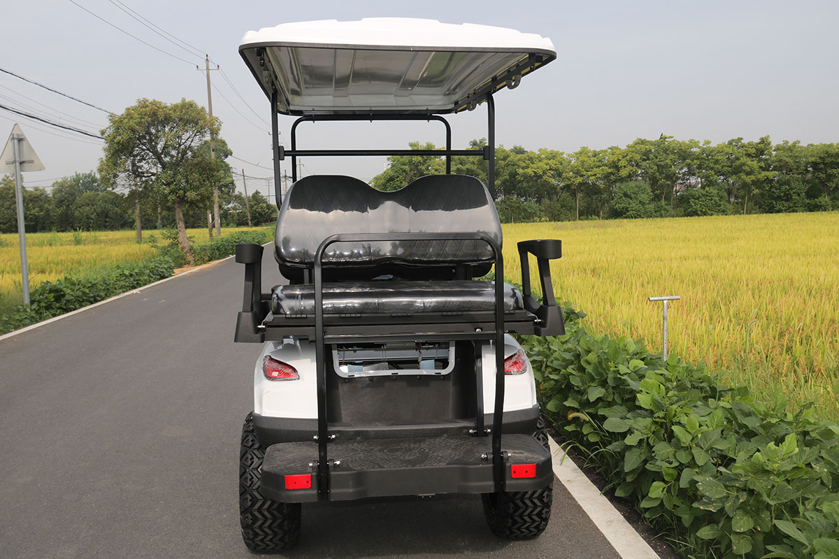 T40 DLX-Electric Golf Cart