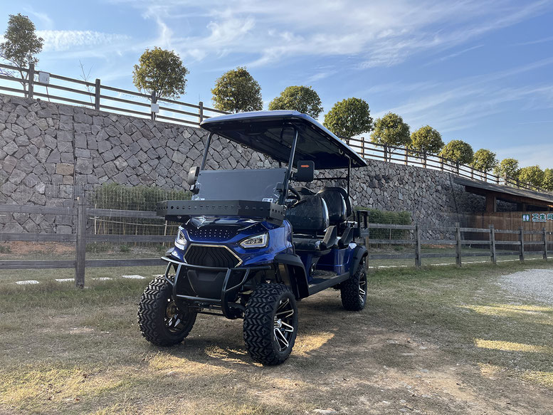 T60 DLX UTV