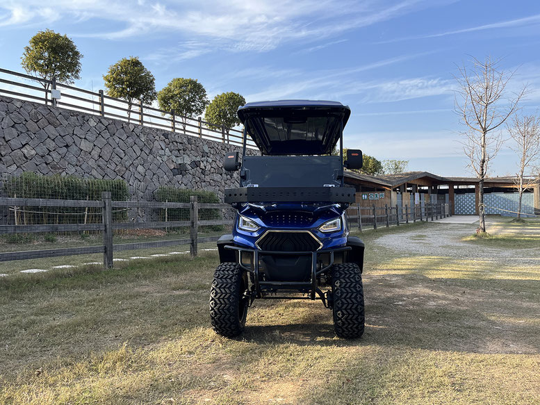 T60 DLX UTV