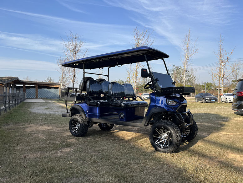 T60 DLX UTV