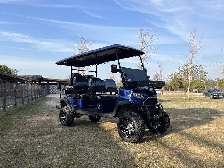 T60 DLX UTV