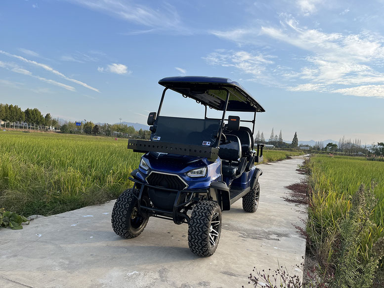 T60 DLX UTV