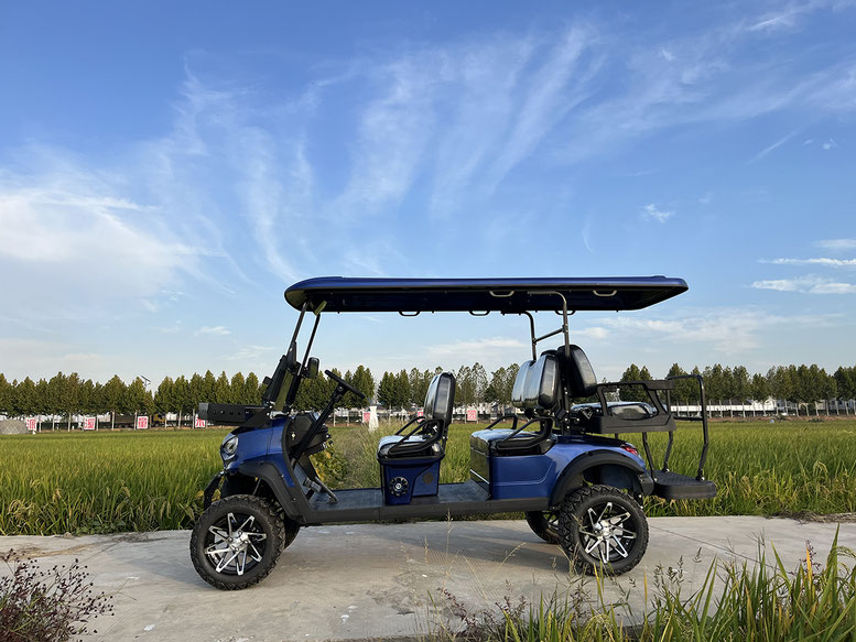 T60 DLX UTV