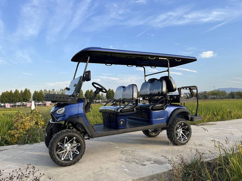 T60 DLX UTV