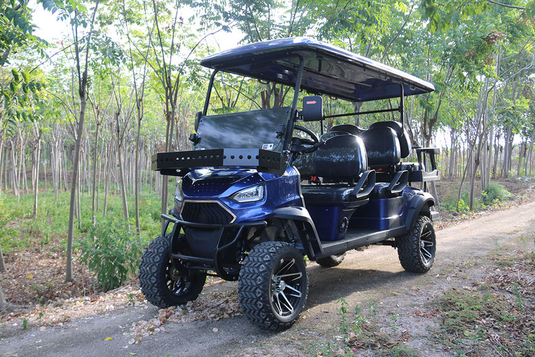 T60 DLX UTV