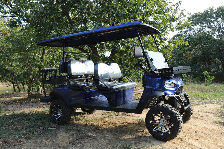 T60 DLX UTV