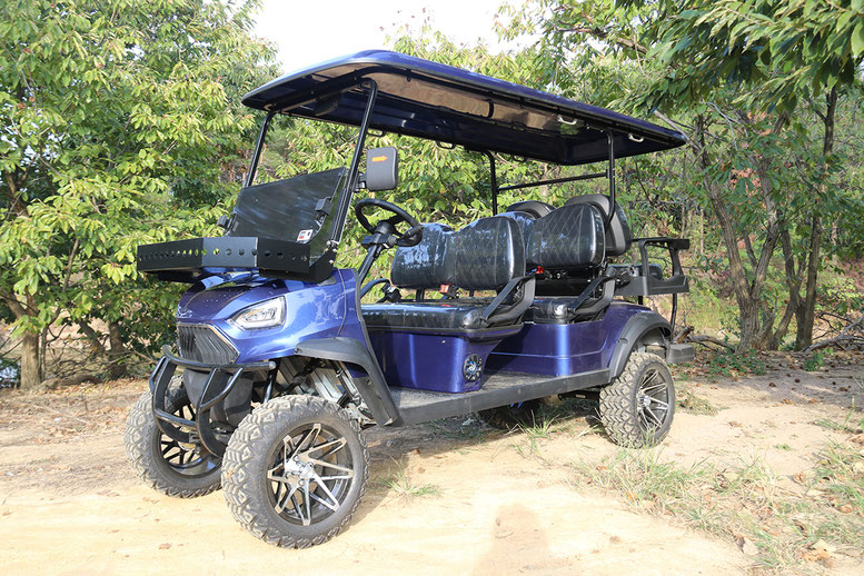 T60 DLX UTV