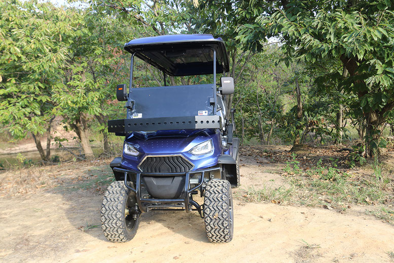 T60 DLX UTV