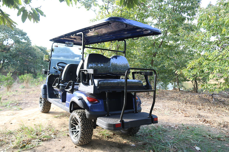 T60 DLX UTV