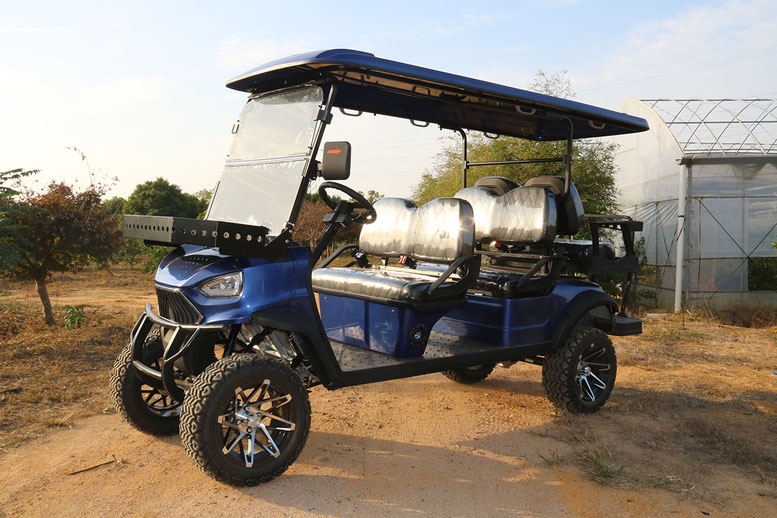 T60 DLX UTV