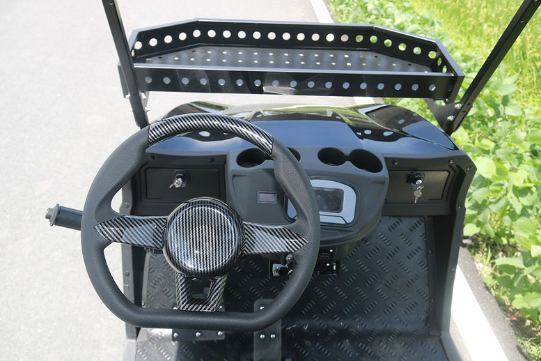 T60 DLX UTV