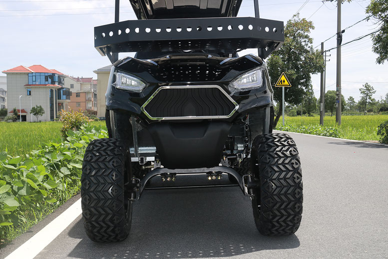 T60 DLX UTV