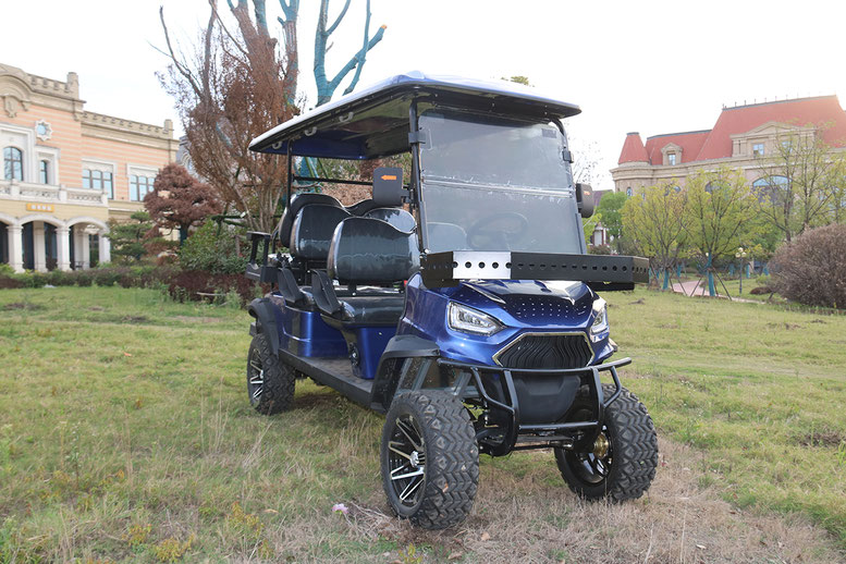 T60 DLX UTV