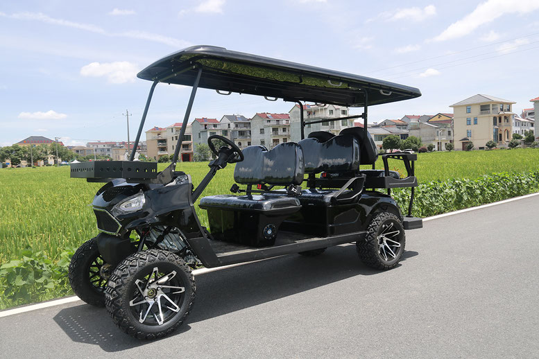 T60 DLX UTV