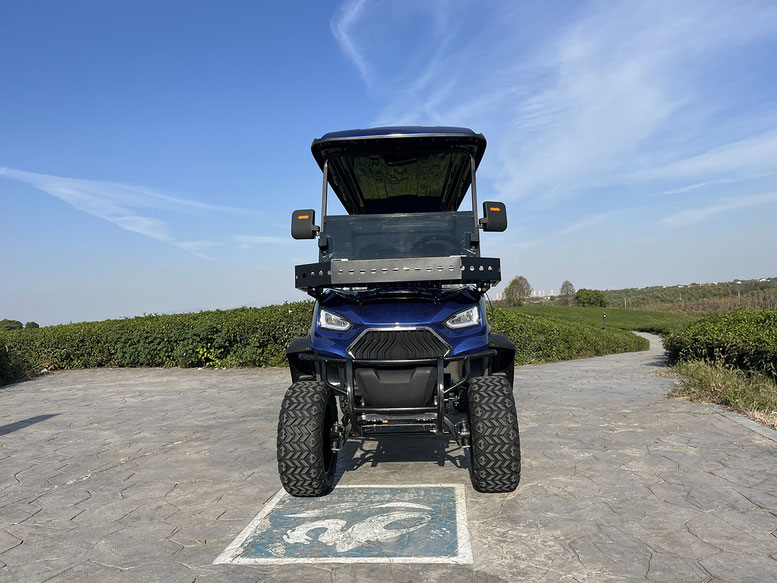 T60 DLX UTV