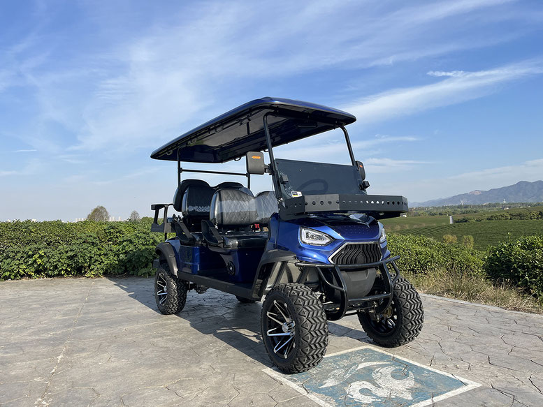 T60 DLX UTV