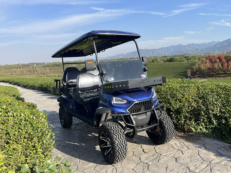 T60 DLX UTV