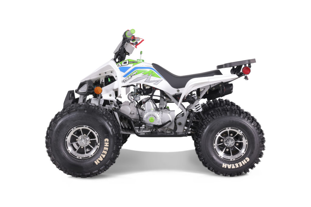 TaoTao 120CC NEW Cheetah PLATINUM ATV