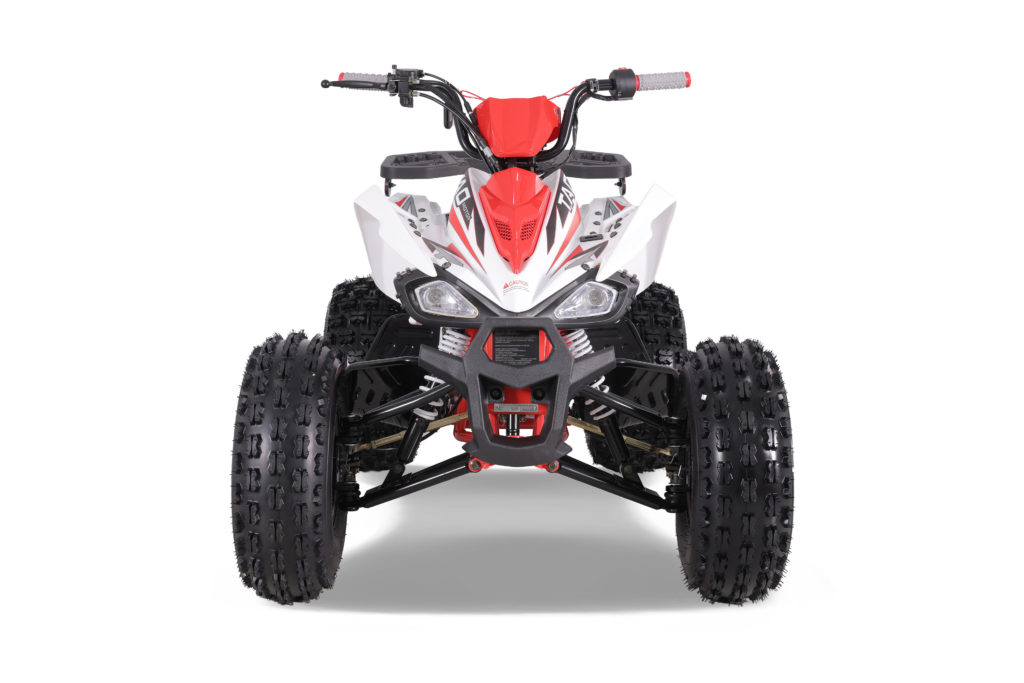 TaoTao 120CC NEW Cheetah PLATINUM ATV