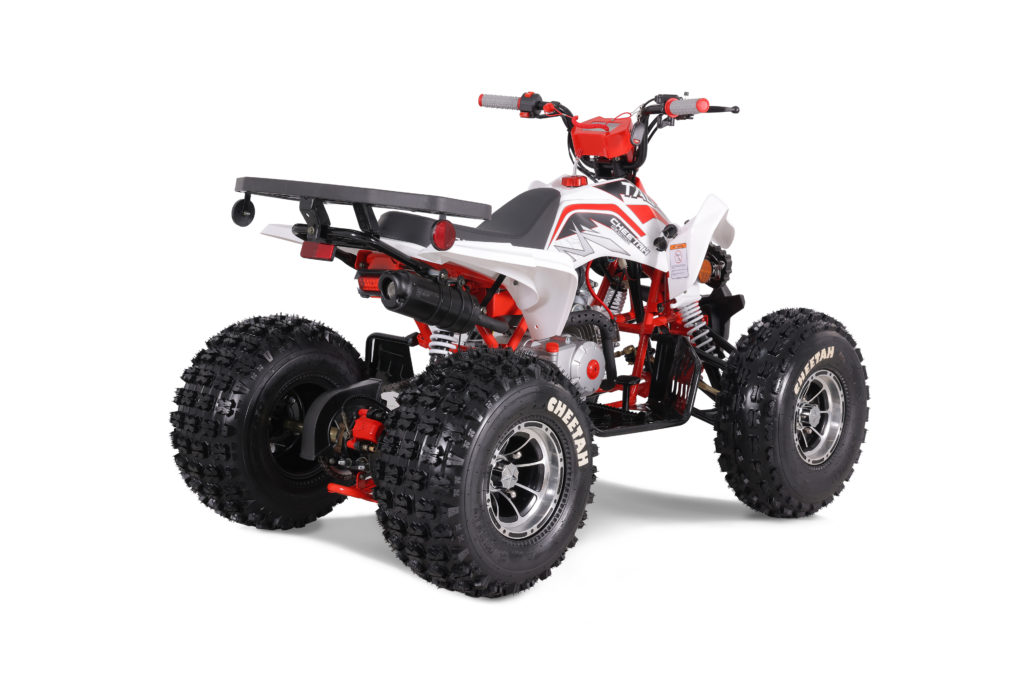 TaoTao 120CC NEW Cheetah PLATINUM ATV