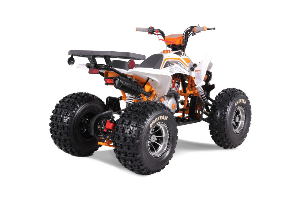 TaoTao 120CC NEW Cheetah PLATINUM ATV