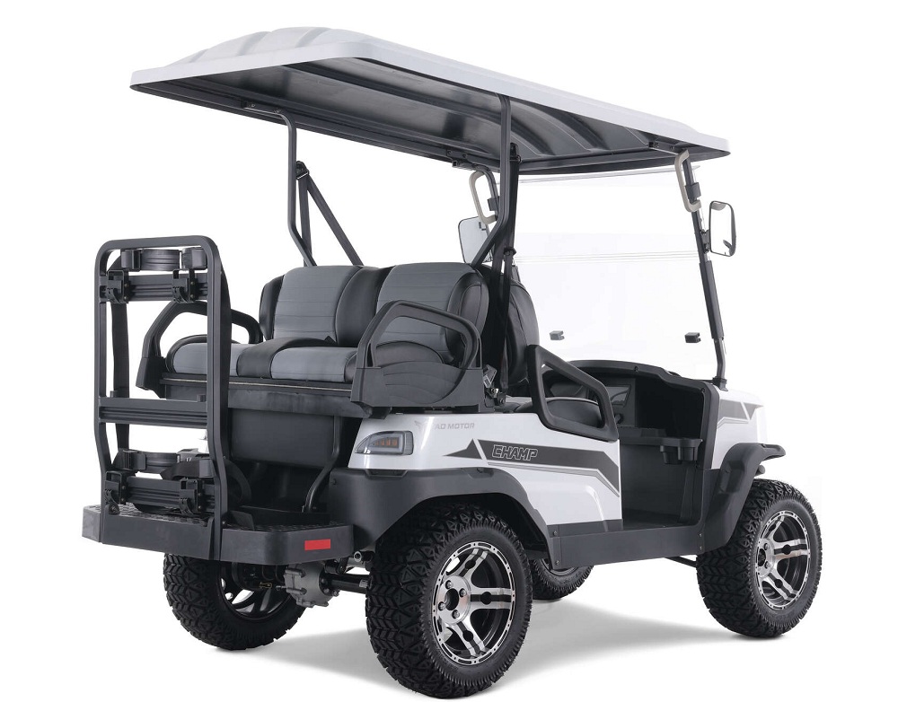 Tao Motor Champ Golf Cart