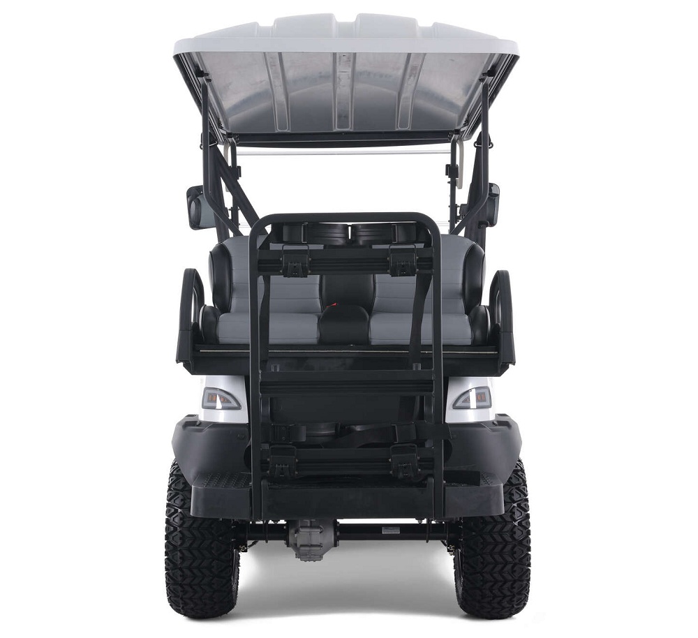 Tao Motor Champ Golf Cart