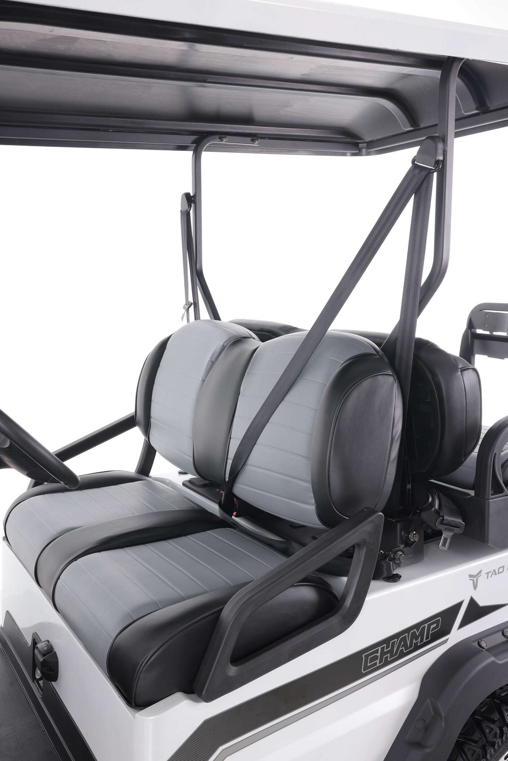 Tao Motor Champ Golf Cart